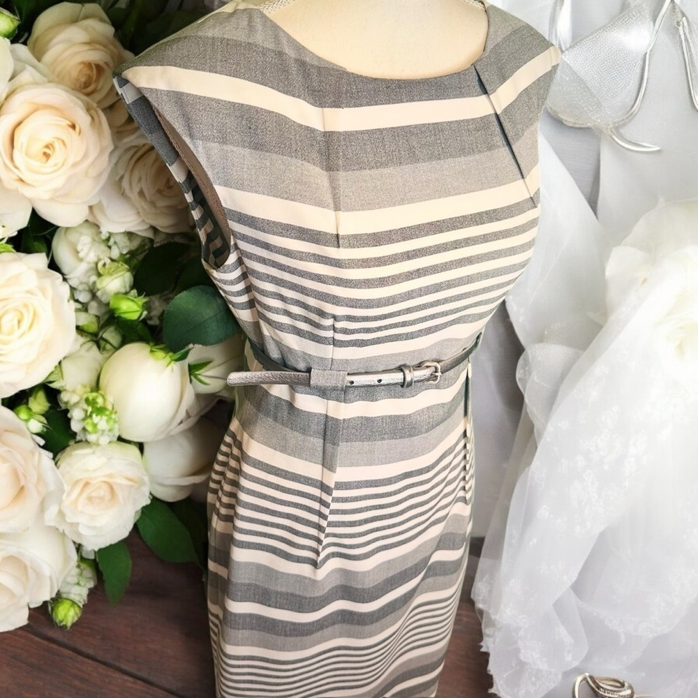 Calvin Klein Gray Striped Pintucked Sheath Dress With Silver Belt Size 6 - Picture 15 of 16